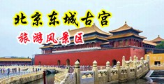 大鸡巴给小骚逼破处中国北京-东城古宫旅游风景区